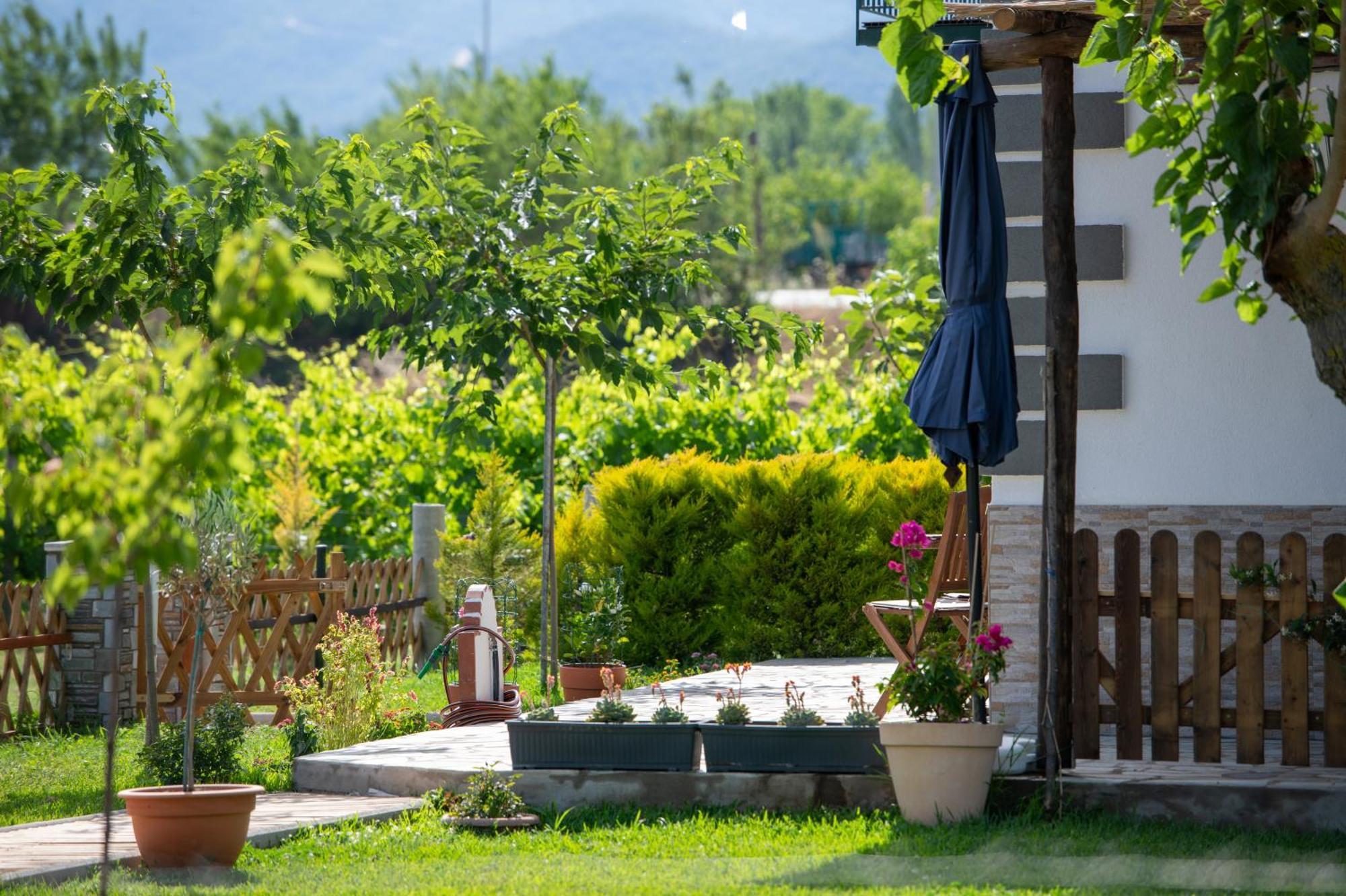 Pratsas House Villa Sykia Chalkidikis Exterior foto